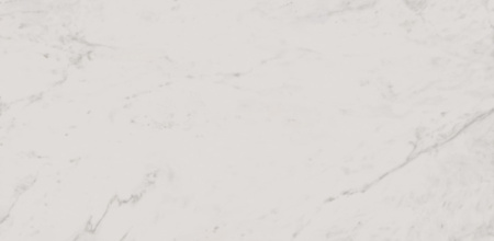 Керамогранит RUS Мрамор 609х306х8 Матовая FM0101-0269-00126