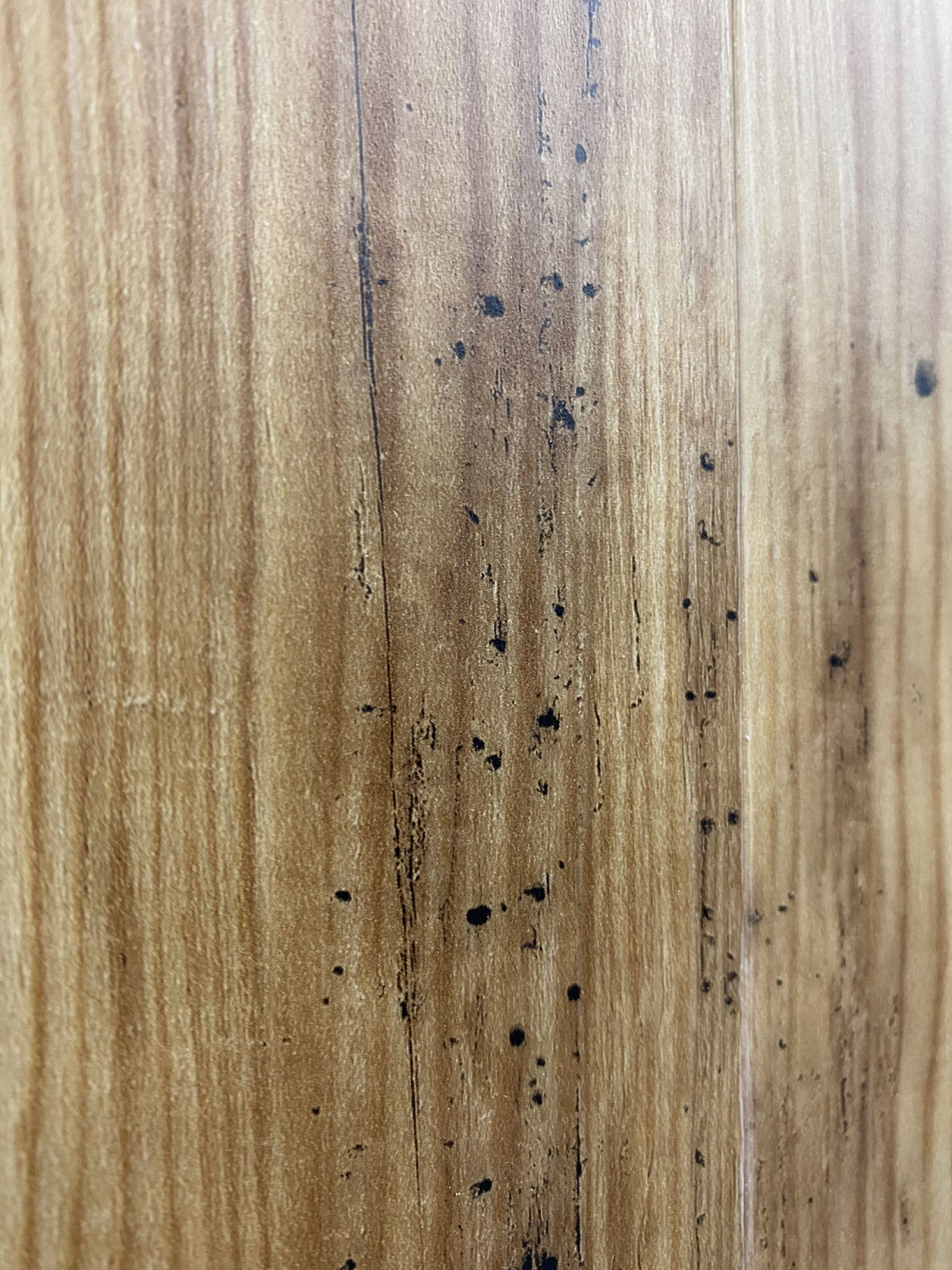 Обучающий семинар по пробковым покрытиям