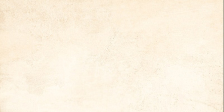 Керамогранит RUS Бетон 300х600х10 Матовая FM0101-0110-00004