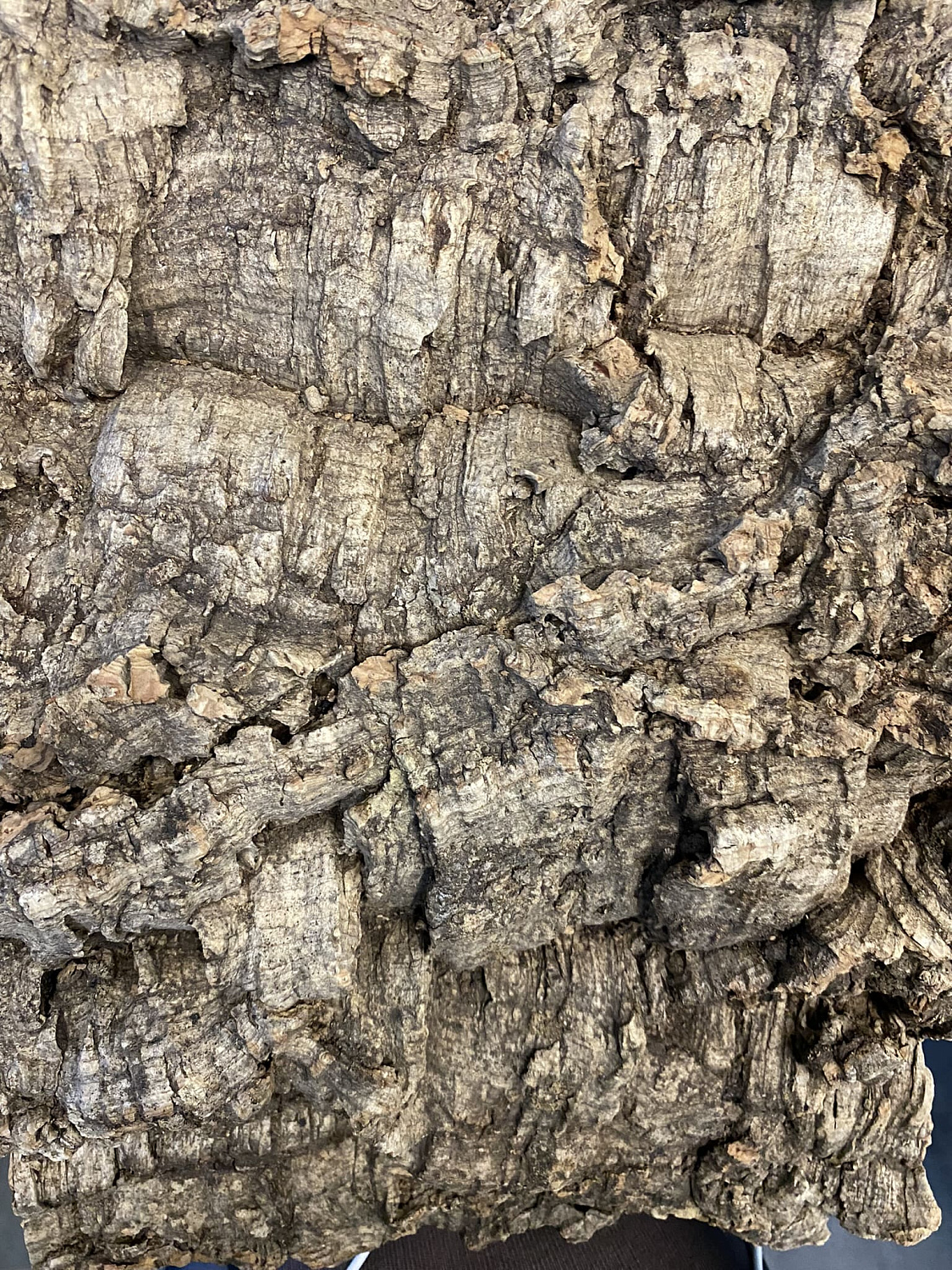 Обучающий семинар по пробковым покрытиям