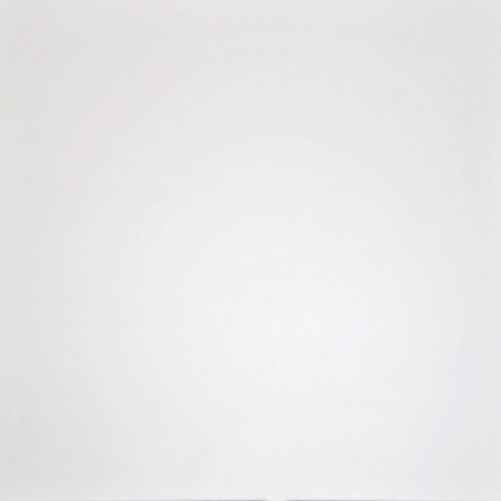 Керамогранит RUS Моноколор 600х600х10 Матовая FM0101-0178-00007