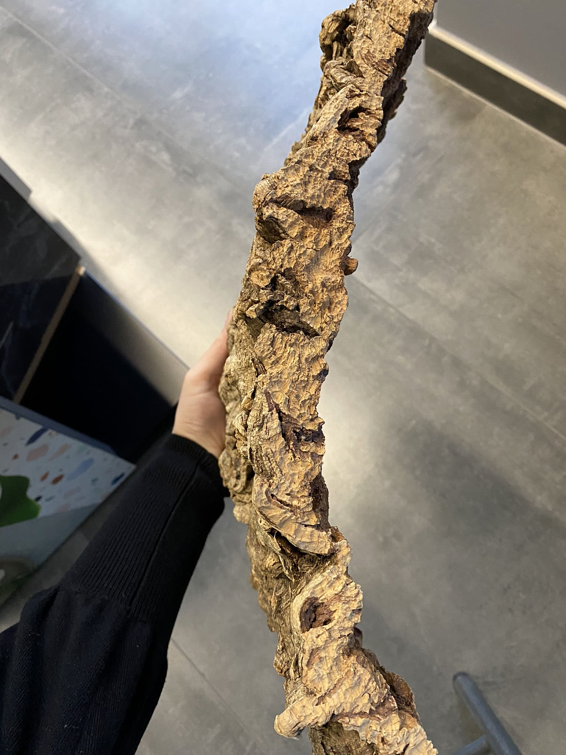 Обучающий семинар по пробковым покрытиям