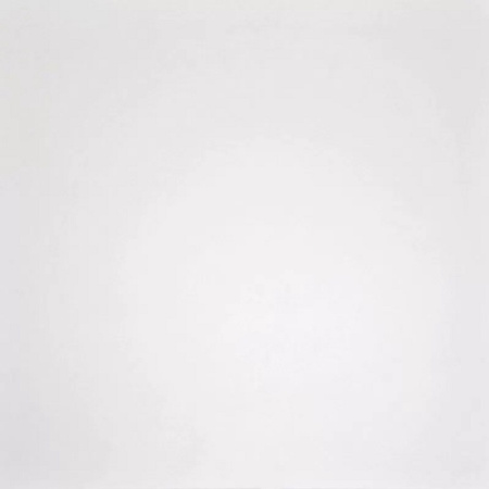 Керамогранит RUS Моноколор 600х600х10 Матовая FM0101-0178-00006