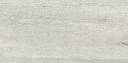 Керамогранит RUS Дерево 609х306х8 Матовая FM0101-0033-00116