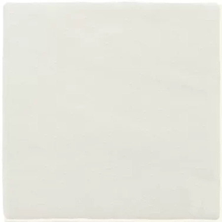 Керамическая плитка ESP Моноколор 100х100х8,5 Глянцевая FM0102-0032-00623