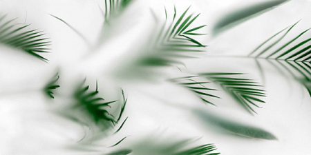 Керамогранит ITA Флористика 600х1200х6 Глянцевая FM0101-0115-00047